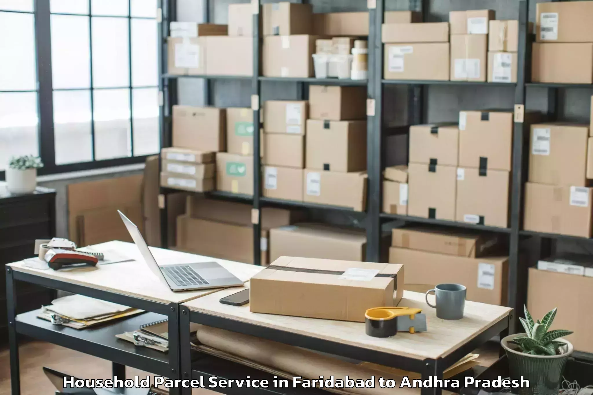 Professional Faridabad to Pedanandipadu Household Parcel